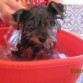 mi primer baño